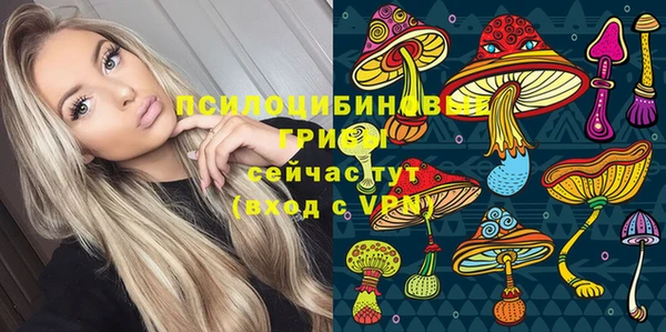индика Галич