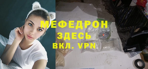 индика Галич