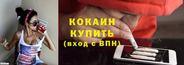 индика Галич