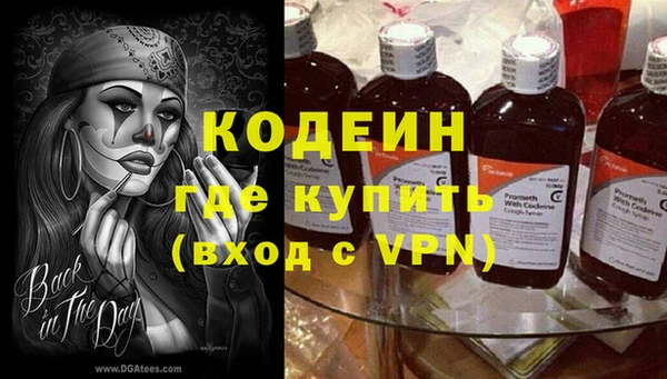 гидра Новозыбков