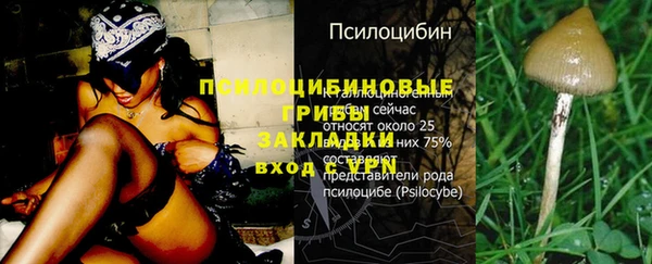 2c-b Нязепетровск