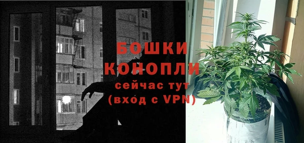гидра Новозыбков