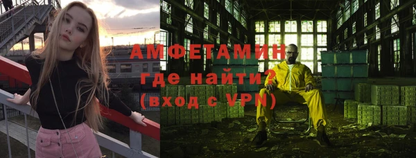 гидра Новозыбков