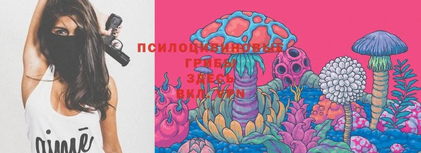 гидра Новозыбков