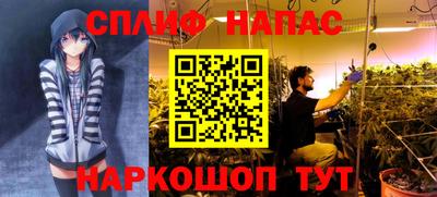 круглые Берёзовский