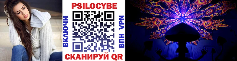 Галлюциногенные грибы Psilocybe  darknet клад  Родники 