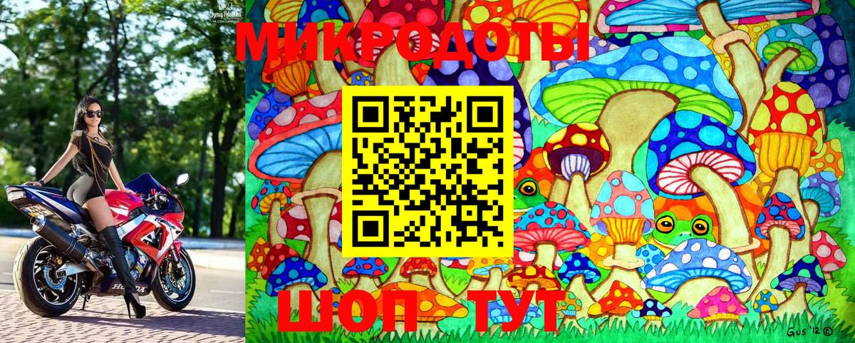 Галлюциногенные грибы мицелий  Родники 